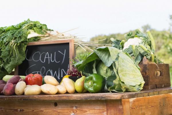 Food Allergy Survival